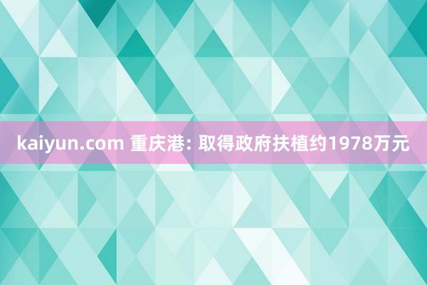 kaiyun.com 重庆港: 取得政府扶植约1978万元