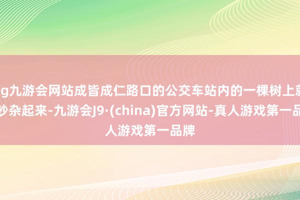 ag九游会网站成皆成仁路口的公交车站内的一棵树上就会吵杂起来-九游会J9·(china)官方网站-真人游戏第一品牌