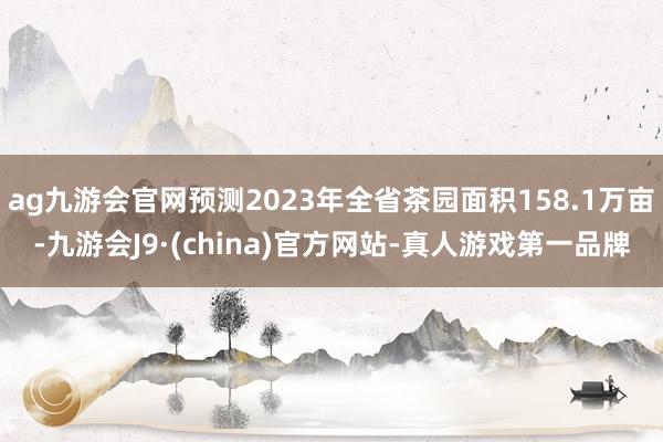 ag九游会官网预测2023年全省茶园面积158.1万亩-九游会J9·(china)官方网站-真人游戏第一品牌