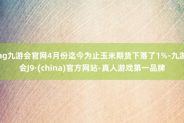 ag九游会官网4月份迄今为止玉米期货下落了1%-九游会J9·(china)官方网站-真人游戏第一品牌