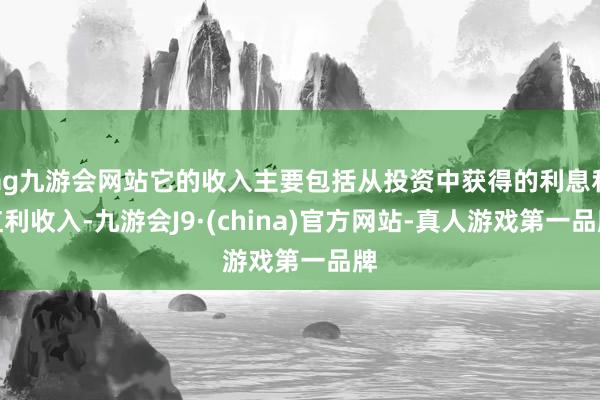 ag九游会网站它的收入主要包括从投资中获得的利息和红利收入-九游会J9·(china)官方网站-真人游戏第一品牌