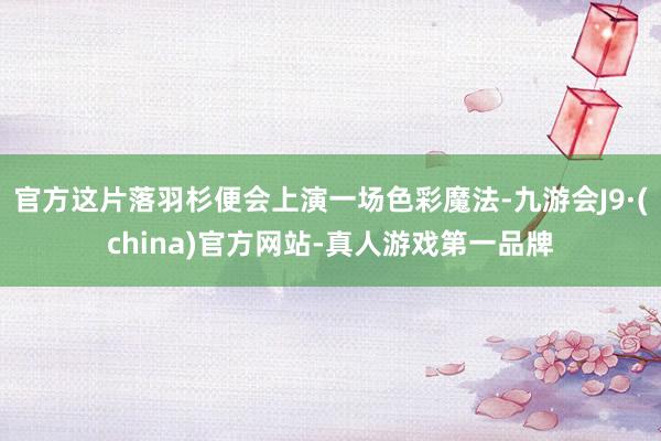 官方这片落羽杉便会上演一场色彩魔法-九游会J9·(china)官方网站-真人游戏第一品牌